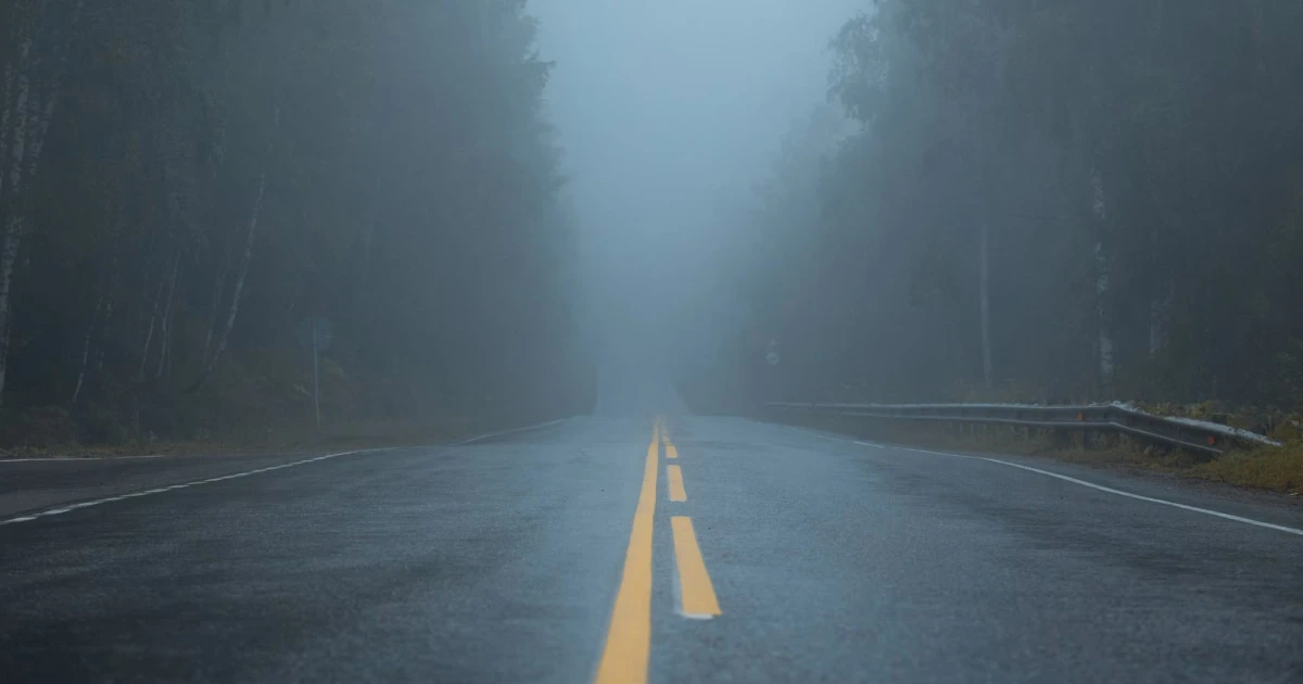 Wet road with a yellow center line disappearing into thick fog between forests.