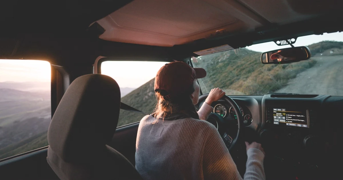 Driver in a cap at the wheel, seen from behind, looking out at a mountain landscape in warm light.