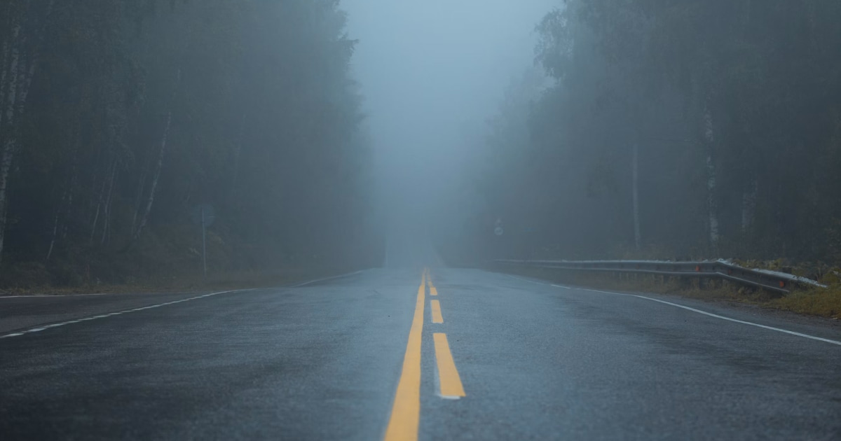 Wet road with a yellow center line disappearing into thick fog between forests.